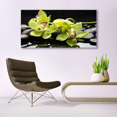 Akril üveg kép Virág orchidea növény