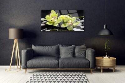Akril üveg kép Virág orchidea növény