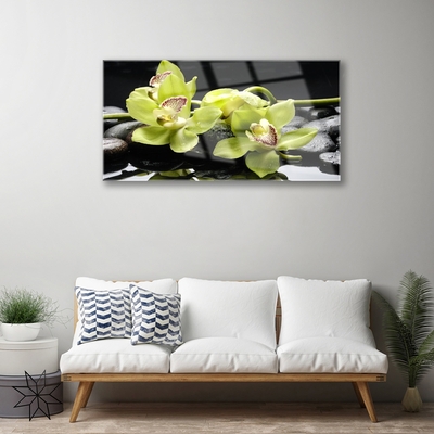 Akril üveg kép Virág orchidea növény