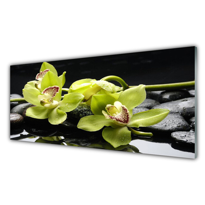 Akril üveg kép Virág orchidea növény
