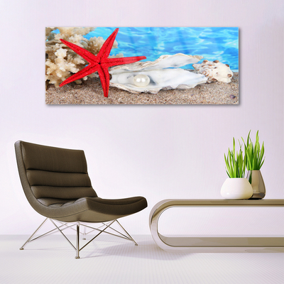 Akril üveg kép Starfish Shells Természet