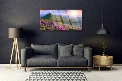 Akrilüveg fotó Mountain Meadow Virág Tájkép