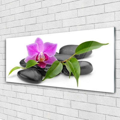 Akrilkép Orchidea Virág Art