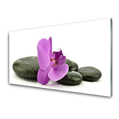 Akrilüveg fotó Orchidea virág orchidea