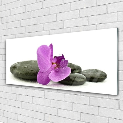Akrilüveg fotó Orchidea virág orchidea