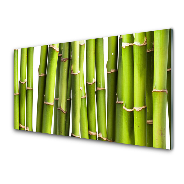 Akrilkép Bambusz növény természet