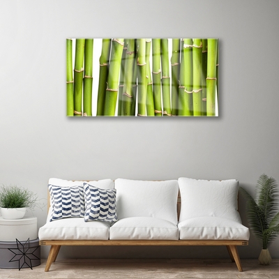 Akrilkép Bambusz növény természet