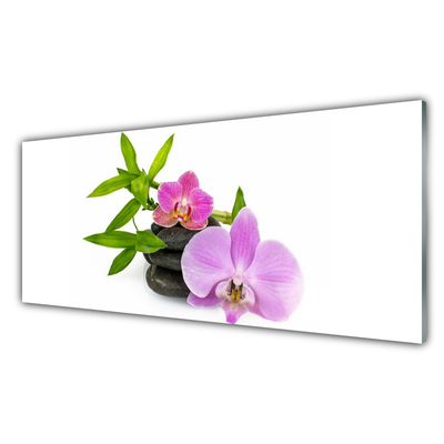 Akrilkép Virág orchidea növény