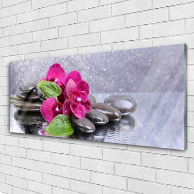 Akril üveg kép Orchidea Virág Art