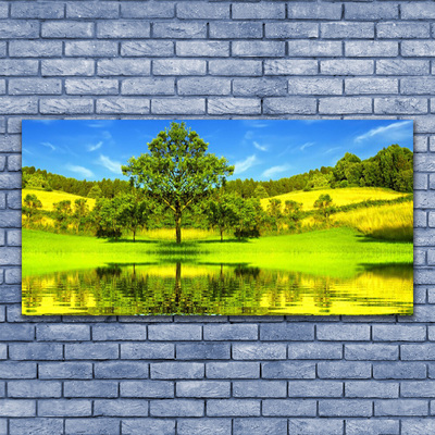 Akril üveg kép Fa Mező Természet