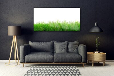 Akril üveg kép Grass Nature Plant