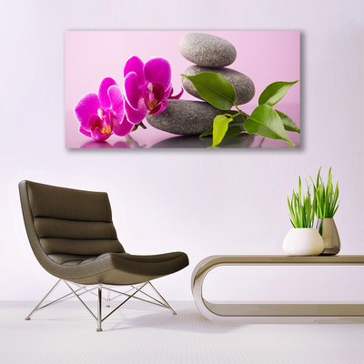 Akril üveg kép Zen Virág orchidea növény