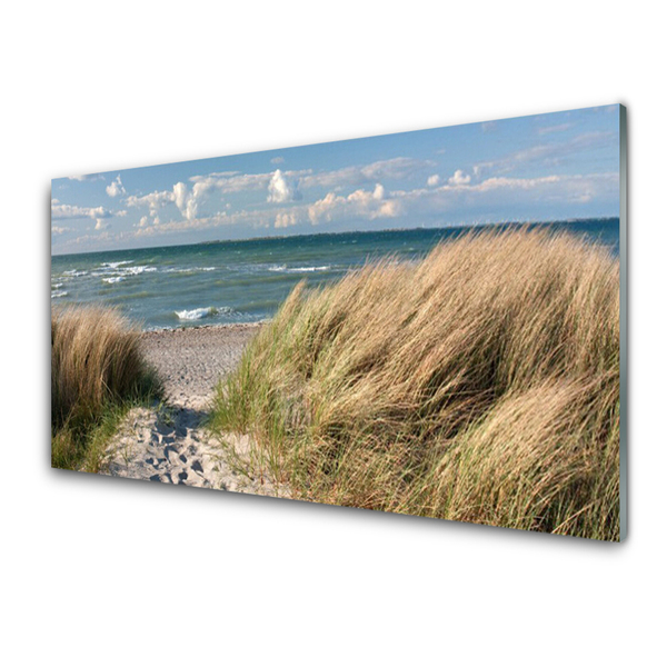 Akrilkép Beach Sea Grass Landscape