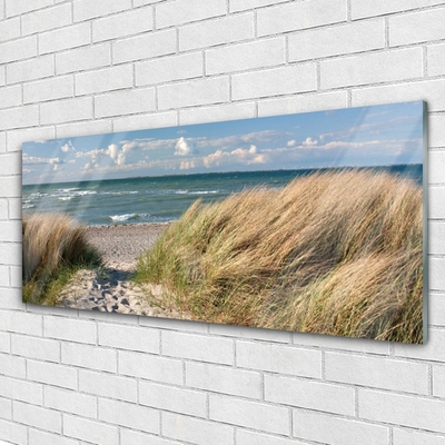 Akrilkép Beach Sea Grass Landscape