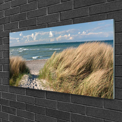 Akrilkép Beach Sea Grass Landscape