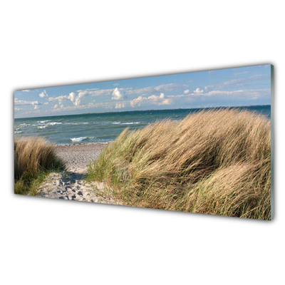 Akrilkép Beach Sea Grass Landscape