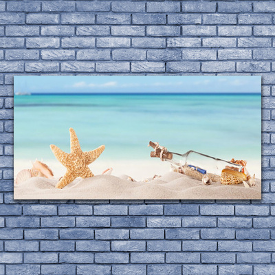 Akrilüveg fotó Starfish Shells Beach
