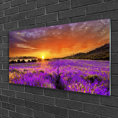 Akrilkép Sunset Lavender Field
