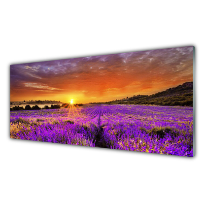Akrilkép Sunset Lavender Field