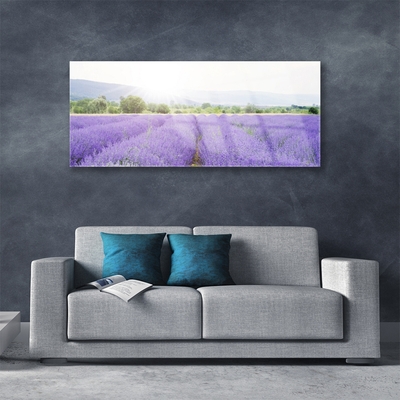 Akrilkép Lavender Field Mező Természet