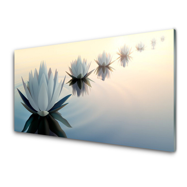 Akril üveg kép Fehér Víz liliom Tavirózsa