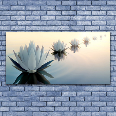 Akril üveg kép Fehér Víz liliom Tavirózsa