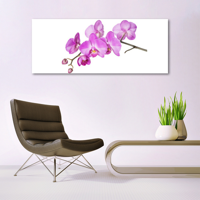 Akrilkép Orchidea Orchidea Virág