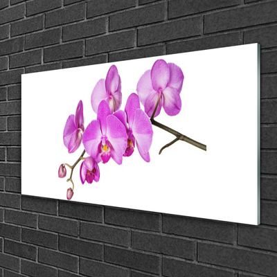Akrilkép Orchidea Orchidea Virág