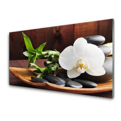 Akrilkép Bamboo Zen White Orchid