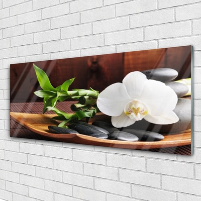 Akrilkép Bamboo Zen White Orchid