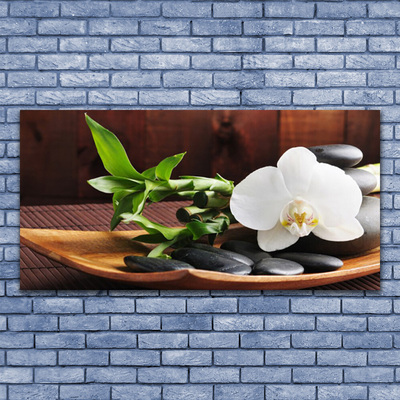 Akrilkép Bamboo Zen White Orchid