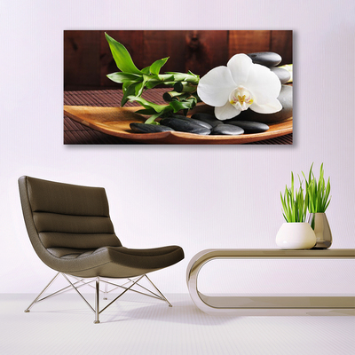 Akrilkép Bamboo Zen White Orchid