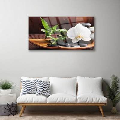 Akrilkép Bamboo Zen White Orchid