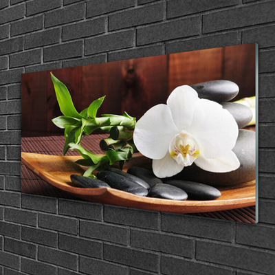 Akrilkép Bamboo Zen White Orchid