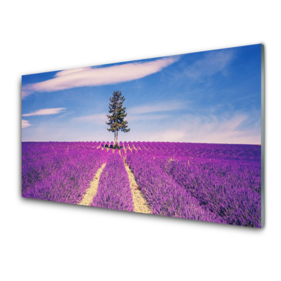 Akrilkép Lavender Field Mező Fa
