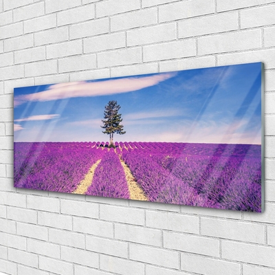 Akrilkép Lavender Field Mező Fa