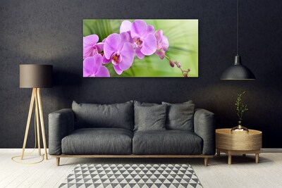 Akrilkép Orchidea Orchidea Virág