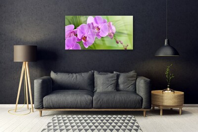 Akrilkép Orchidea Orchidea Virág