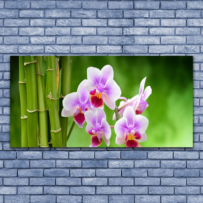 Akrilkép Bamboo Orchid Virág Zen