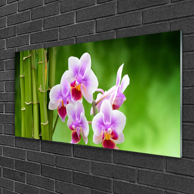 Akrilkép Bamboo Orchid Virág Zen