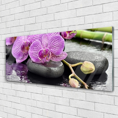 Akril üveg kép Orchidea Orchidea Zen Spa