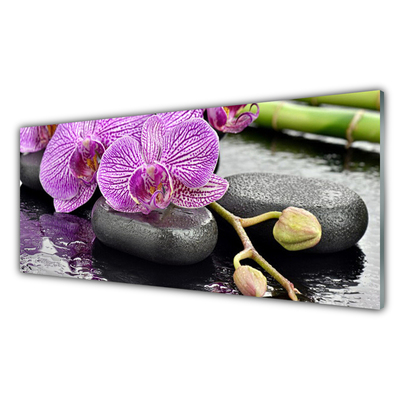 Akril üveg kép Orchidea Orchidea Zen Spa