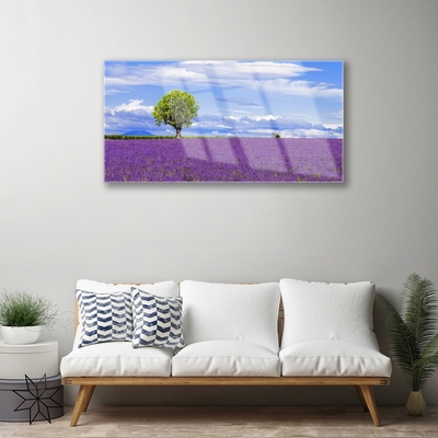 Akrilkép Field Lavender fa