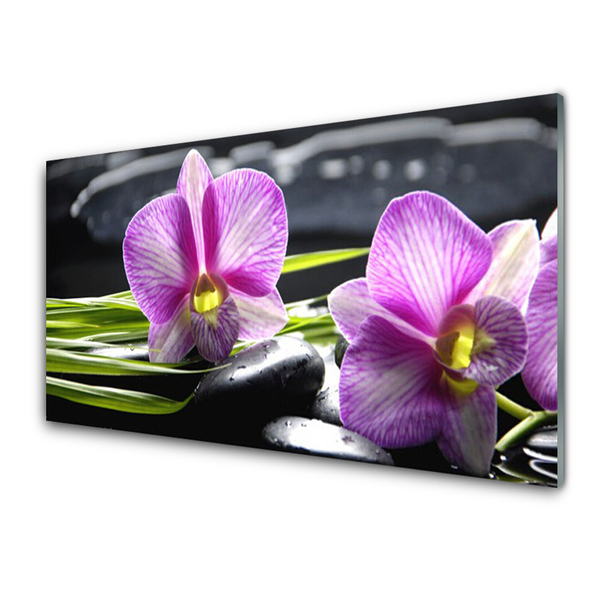 Akrilüveg fotó Orchid Zen Spa Stones