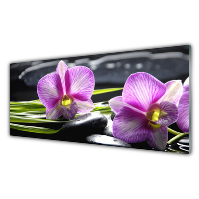 Akrilüveg fotó Orchid Zen Spa Stones