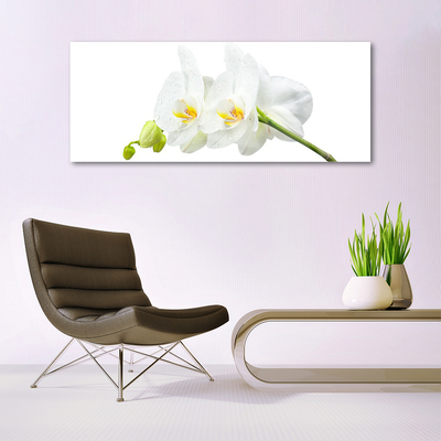 Akrilkép Fehér orchidea virág szirmai