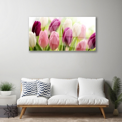 Akrilkép Tulipán virágok természet Meadow