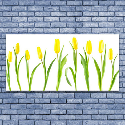 Akrilkép Tulipán sárga virágok