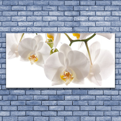 Akrilüveg fotó Orchidea virágok Természet