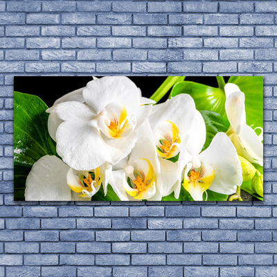 Akril üveg kép Orchidea virágok Természet